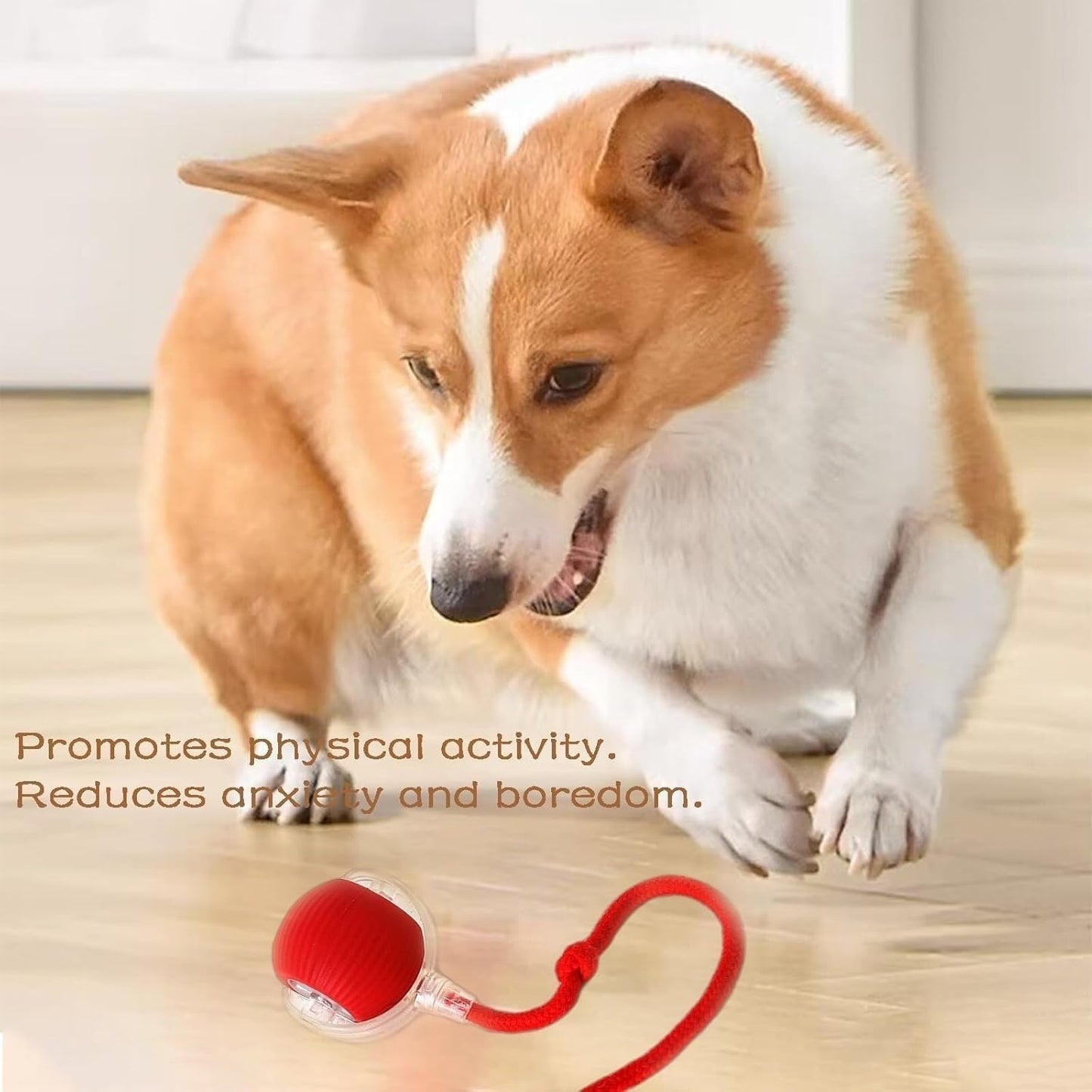 Interactive LED Cat Teasing Ball | USB Rechargeable Smart Play Toy